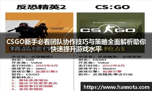 VSport体育